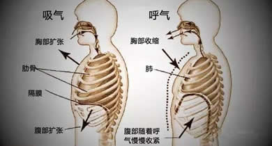 零基础艺考生应该怎样学习声乐？