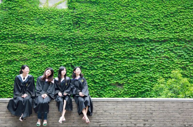 美术生可以考什么大学